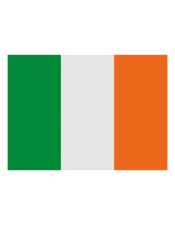 Fahne Irland, Printwear  // FLAGIE