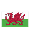 Fahne Wales, Printwear  // FLAGWLS