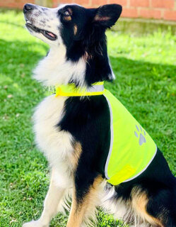 Stretchy Hi-Vis Safety Vest For Dogs Buenos Aires, Korntex KTH100 // KX104
