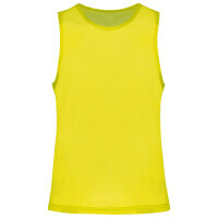 Fluorescent Yellow